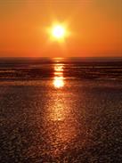 morecambe bay 5